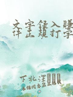 文字录入赚钱软件正规打字平台