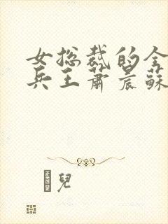 女总裁的全能型兵王萧晨苏晴