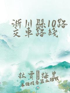 淅川县10路公交车路线