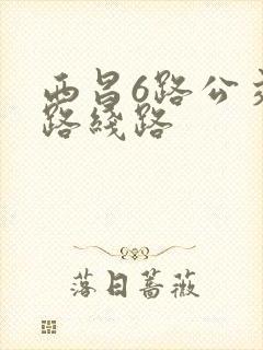 西昌6路公交车路线路