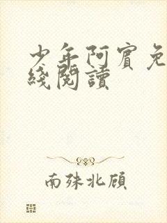 少年阿宾免费在线阅读