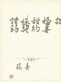 错嫁甜婚 总裁的契约妻