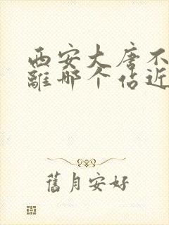 西安大唐不夜城离哪个站近 西安大唐不夜城离哪个站近