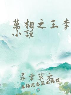 万相之王李洛的小说