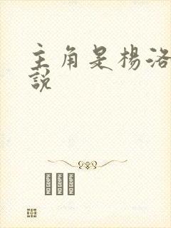 主角是杨洛的小说