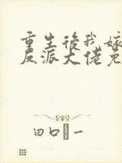 重生后我嫁给了反派大佬免费阅读 重生后我嫁给了反派大佬免费阅读