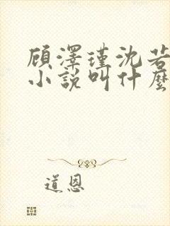 顾泽瑾沈若微的小说叫什么 顾泽瑾沈若微的小说叫什么