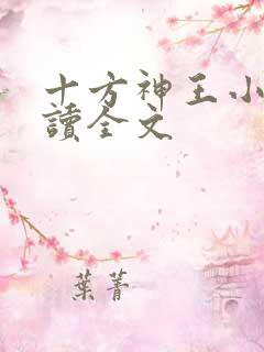 十方神王小说阅读全文