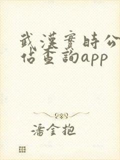 武汉实时公交到站查询app