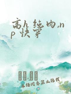 高h 纯肉,np 快穿 高h 纯肉,np 快穿