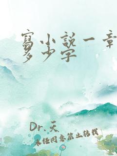 写小说一章大概多少字
