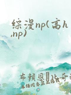 综漫np(高h,np)