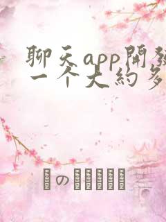 聊天app开发一个大约多少钱