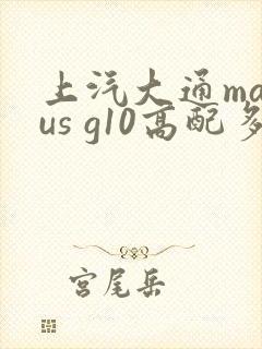 上汽大通maxus g10高配多少钱一辆