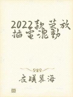 2022款荣放插电混动