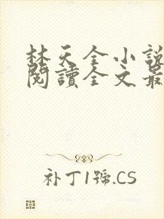 林天全小说免费阅读全文最新章节