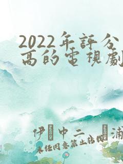2022年评分高的电视剧排行