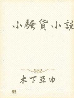 小骚货小说h