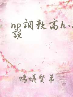np调教高h小说 np调教高h小说