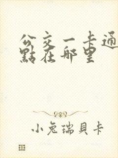 公交一卡通充值点在哪里