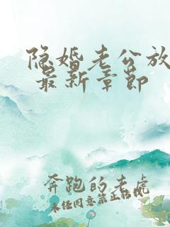 隐婚老公放肆宠 最新章节
