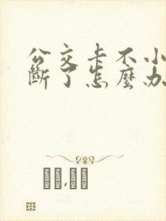 公交卡不小心折断了怎么办