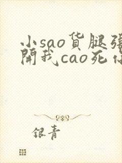 小sao货腿张开我cao死你