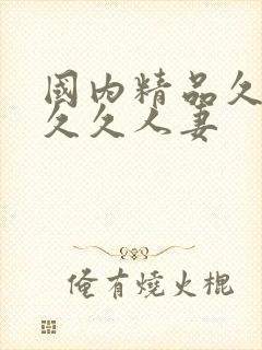 国内精品久久久久久人妻