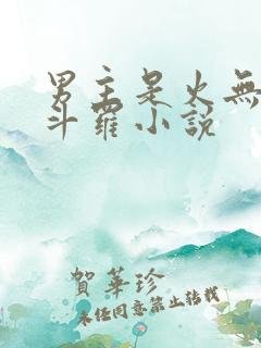 男主是火无双的斗罗小说