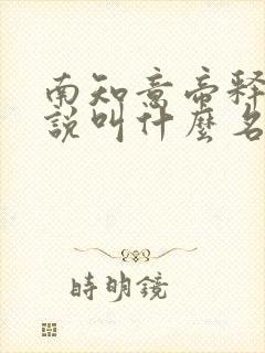 南知意帝释景小说叫什么名