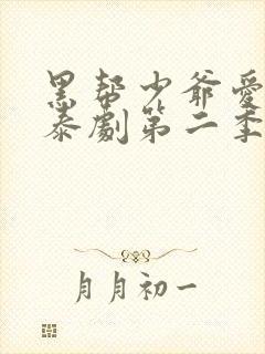 黑帮少爷爱上我泰剧第二季叫什么