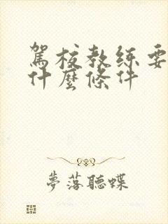 驾校教练要具备什么条件