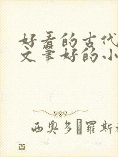 好看的古代言情文笔好的小说 好看的古代言情文笔好的小说