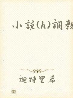 小说(h)调教