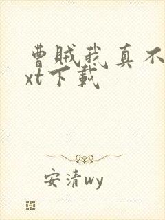曹贼我真不是txt下载