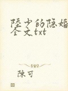陆少的隐婚罪妻全文txt