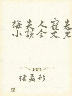 梅夫人宠夫日常小说全文免费阅读
