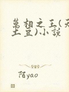 万相之王(天蚕土豆)小说