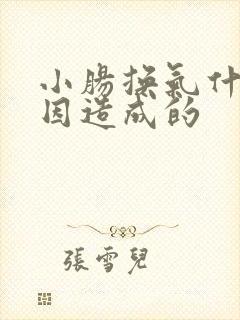 小肠换气什么原因造成的