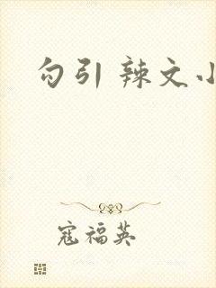 勾引 辣文小说
