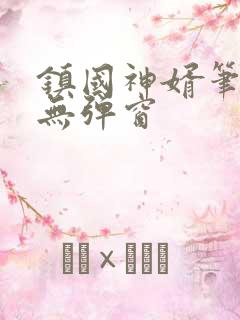 镇国神婿笔趣阁无弹窗