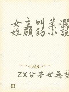 女主叫叶澜男主姓顾的小说