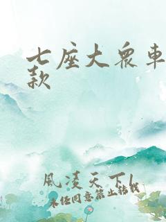 七座大众车有几款