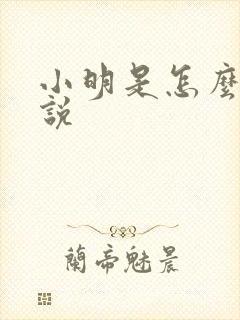 小明是怎么的小说
