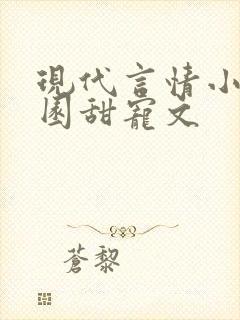 现代言情小说校园甜宠文