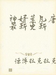 神婿叶凡唐若雪最新更新