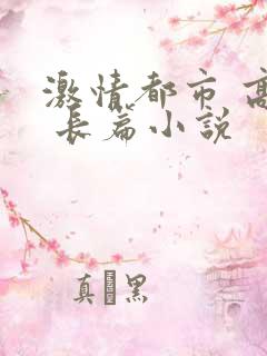激情都市 高h 长篇小说