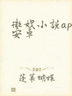 微娱小说app安卓