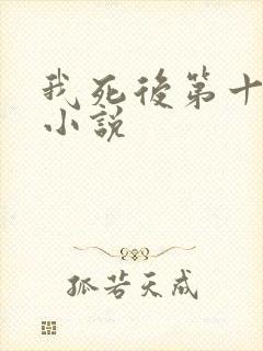 我死后第十一年小说
