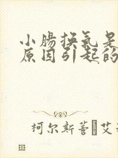 小肠换气是什么原因引起的